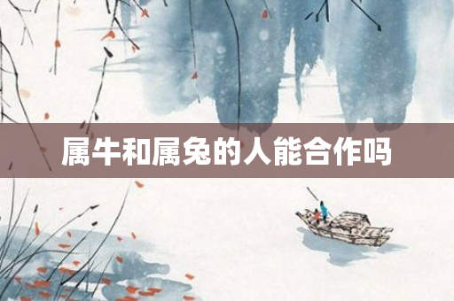 属牛和属兔的人能合作吗