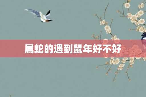 属蛇的遇到鼠年好不好