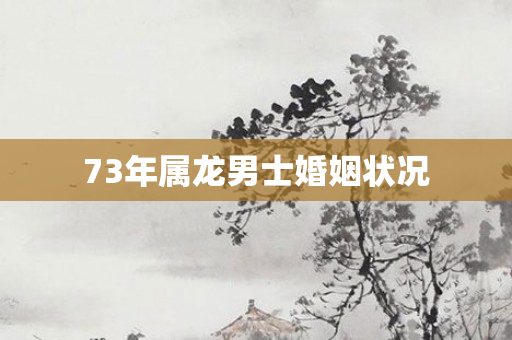 73年属龙男士婚姻状况