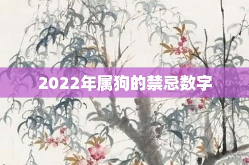 2022年属狗的禁忌数字