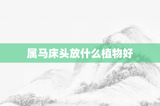 属马床头放什么植物好