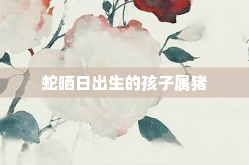 蛇晒日出生的孩子属猪