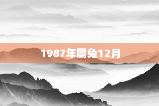 1987年属兔12月