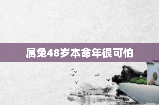 属兔48岁本命年很可怕