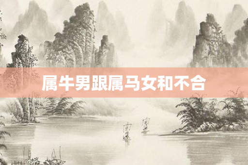 属牛男跟属马女和不合