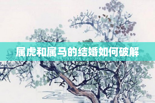 属虎和属马的结婚如何破解