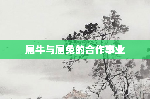 属牛与属兔的合作事业