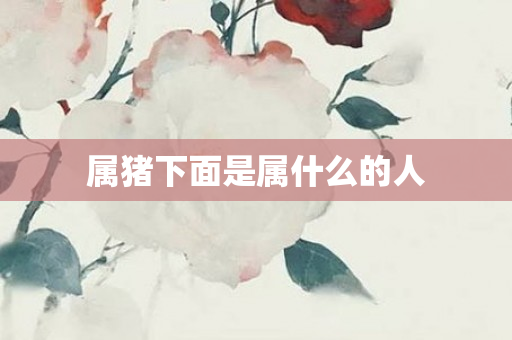 属猪下面是属什么的人