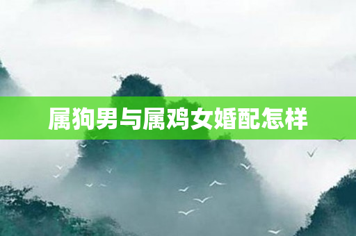 属狗男与属鸡女婚配怎样