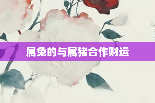 属兔的与属猪合作财运