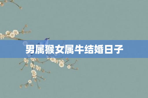 男属猴女属牛结婚日子