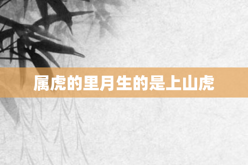 属虎的里月生的是上山虎
