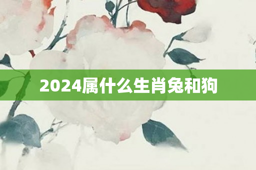 2024属什么生肖兔和狗