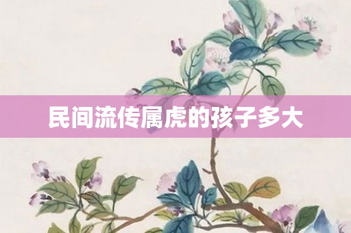 民间流传属虎的孩子多大