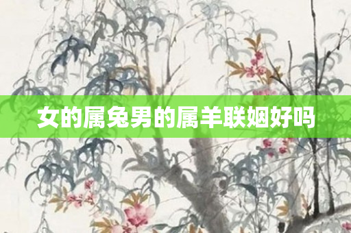 女的属兔男的属羊联姻好吗
