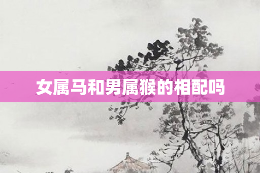 女属马和男属猴的相配吗