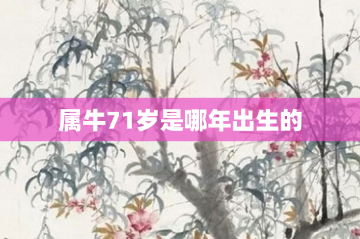 属牛71岁是哪年出生的