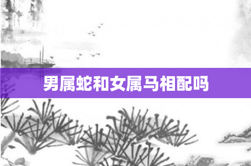 男属蛇和女属马相配吗