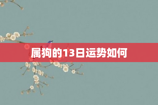 属狗的13日运势如何