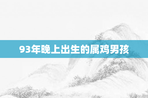 93年晚上出生的属鸡男孩