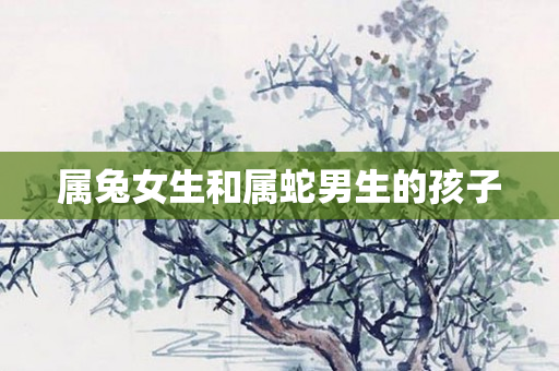 属兔女生和属蛇男生的孩子