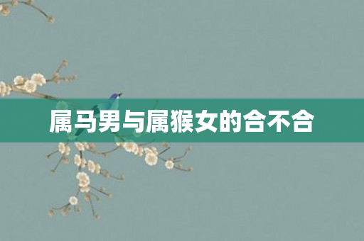 属马男与属猴女的合不合