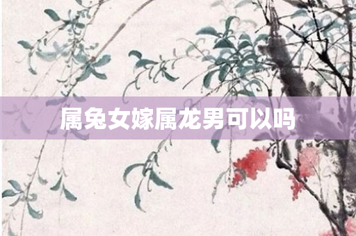 属兔女嫁属龙男可以吗