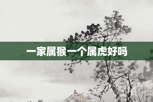 一家属猴一个属虎好吗