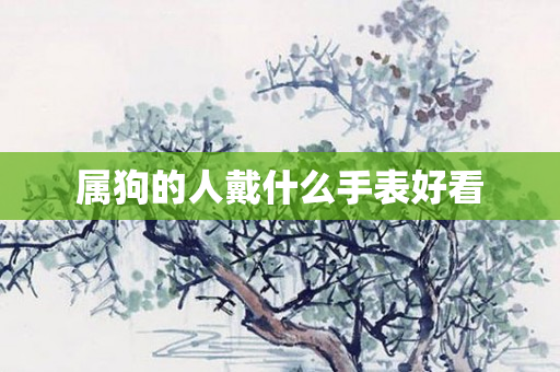 属狗的人戴什么手表好看