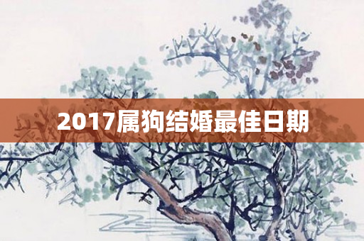 2017属狗结婚更佳日期