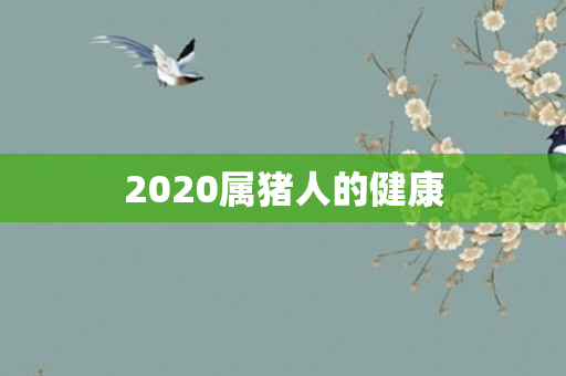 2020属猪人的健康