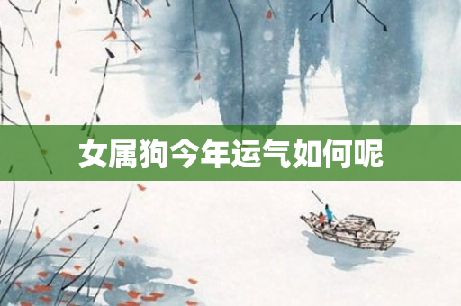 女属狗今年运气如何呢
