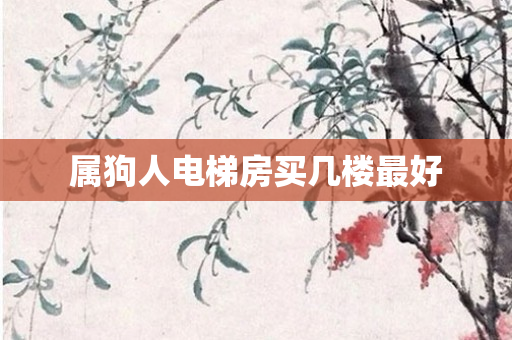 属狗人电梯房买几楼更好
