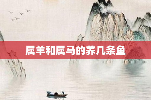 属羊和属马的养几条鱼