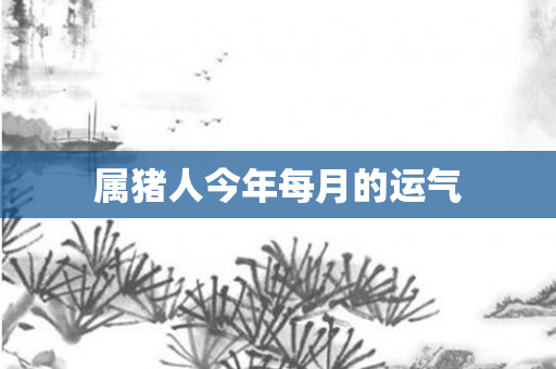 属猪人今年每月的运气