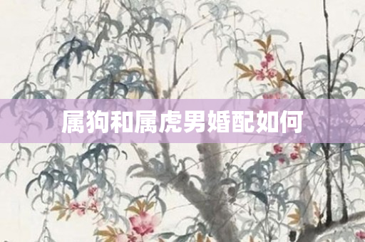 属狗和属虎男婚配如何