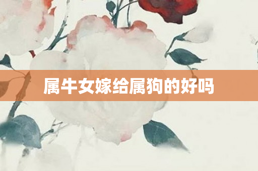 属牛女嫁给属狗的好吗