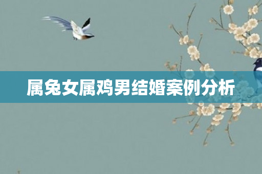 属兔女属鸡男结婚案例分析