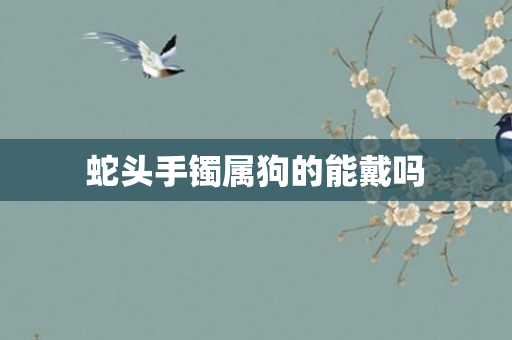 蛇头手镯属狗的能戴吗