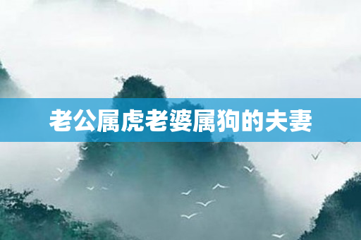 老公属虎老婆属狗的夫妻