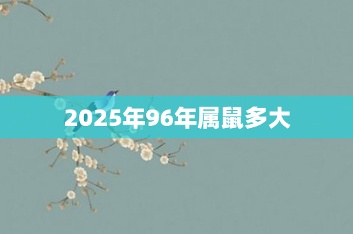 2025年96年属鼠多大