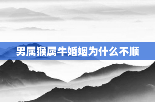 男属猴属牛婚姻为什么不顺
