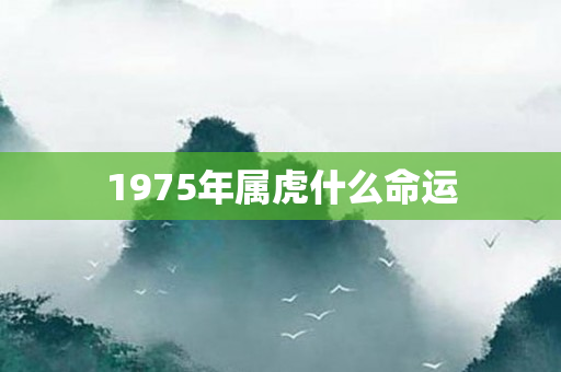 1975年属虎什么命运