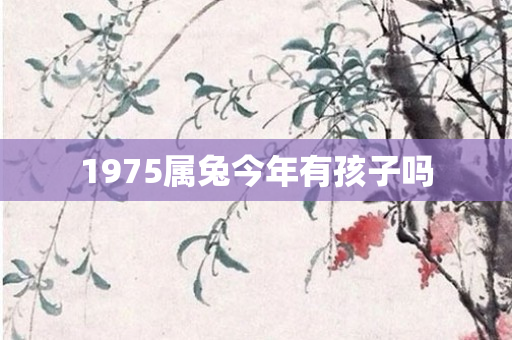 1975属兔今年有孩子吗