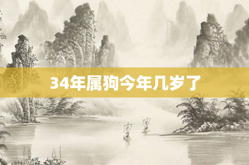 34年属狗今年几岁了