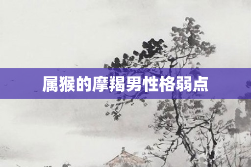 属猴的摩羯男性格弱点