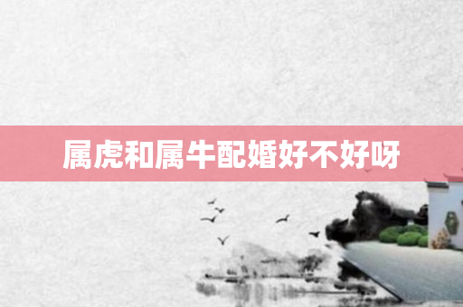 属虎和属牛配婚好不好呀