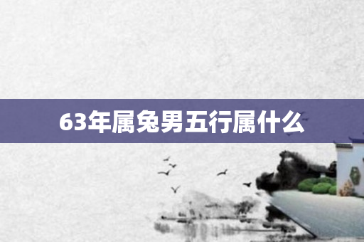63年属兔男五行属什么
