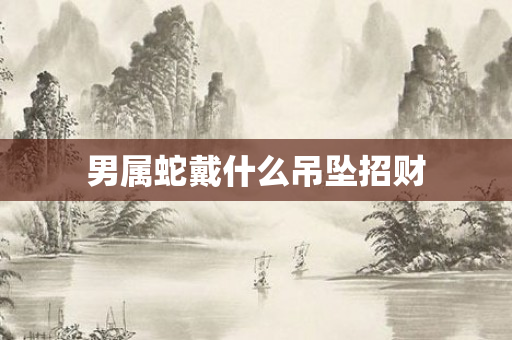 男属蛇戴什么吊坠招财