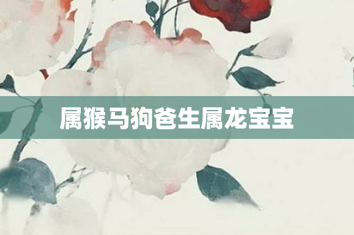 属猴马狗爸生属龙宝宝
